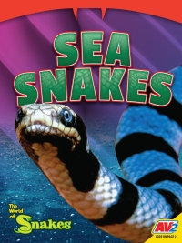 صورة الغلاف: Sea Snakes 1st edition 9781791141516