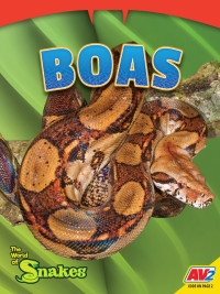 Cover image: Boas 1st edition 9781791141547
