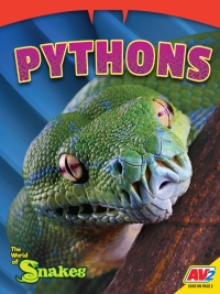 Cover image: Pythons 1st edition 9781791141578