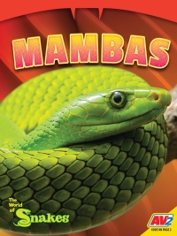 Imagen de portada: Mambas 1st edition 9781791141608