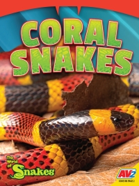 صورة الغلاف: Coral Snakes 1st edition 9781791141639