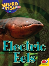 صورة الغلاف: Electric Eels 1st edition 9781791142346