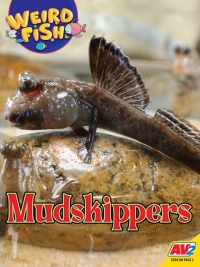 Cover image: Mudskippers 1st edition 9781791142391