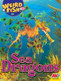 Cover image: Sea Dragons 1st edition 9781791142452