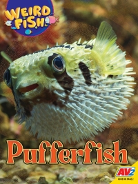 Cover image: Pufferfish 1st edition 9781791142483