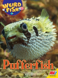 Imagen de portada: Pufferfish 1st edition 9781791142483