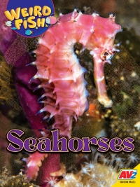 Cover image: Seahorses 1st edition 9781791142513
