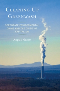 Cover image: Cleaning Up Greenwash 9781793600547