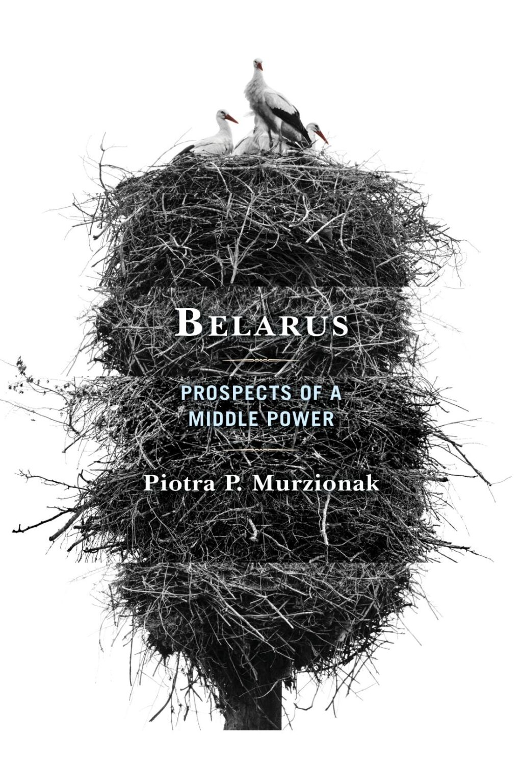 Belarus Prospects of a Middle Power