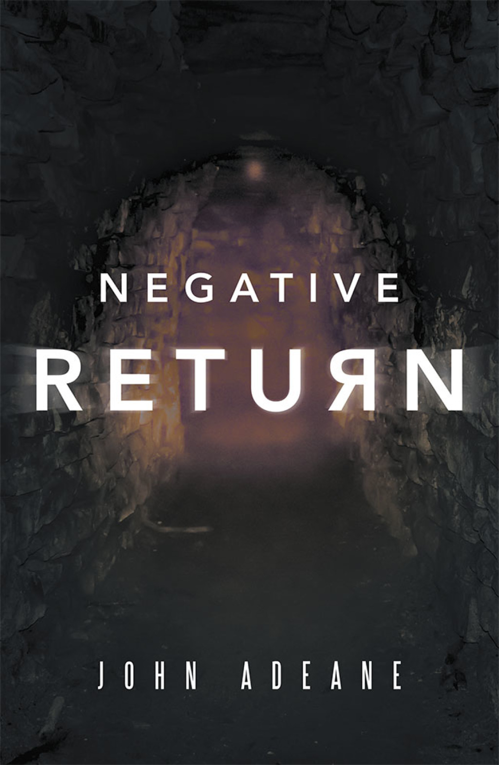 Negative Return (eBook)