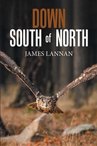 Cover image: Down South of North 9781796011203