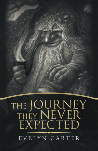 Imagen de portada: The Journey They Never Expected 9781796013634