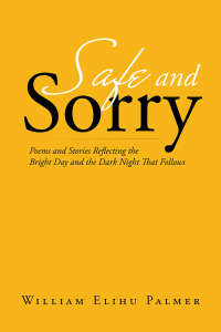 Titelbild: Safe and Sorry 9781796020397