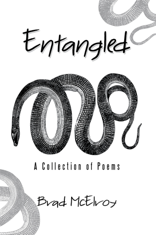 Imagen de portada: Entangled 9781796025064