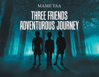 Cover image: Three Friends Adventurous Journey 9781796032062
