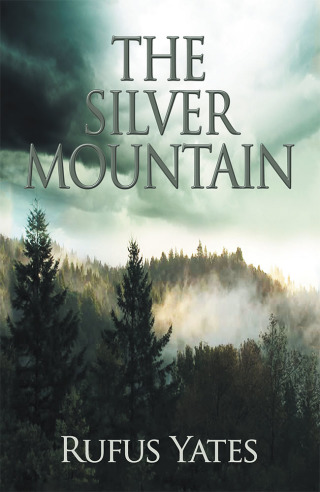 Cover image: The Silver Mountain 9781796034240