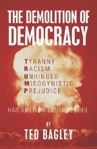 Imagen de portada: The Demolition of Democracy 9781796035384