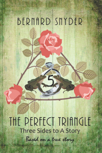 Cover image: The Perfect Triangle 9781796035452