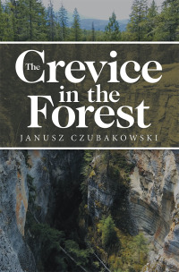 Imagen de portada: The Crevice in the Forest 9781796035698