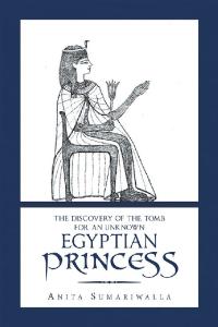 Cover image: The Discovery of the Tomb for an Unknown Egyptian Princess 9781796038248