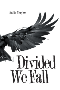 Cover image: Divided We Fall 9781796041132