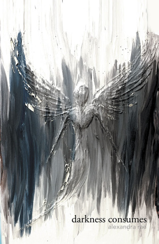 Cover image: Darkness Consumes Light Empowers 9781796042061