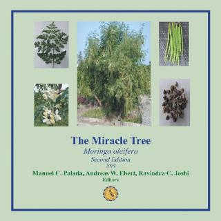 Cover image: The Miracle Tree 9781796044546