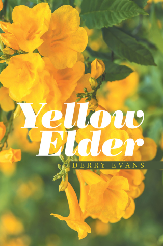 Imagen de portada: Yellow Elder 9781796045802