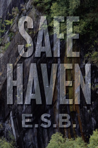 Cover image: Safe Haven 9781796048209