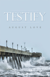 Cover image: Testify 9781796050394