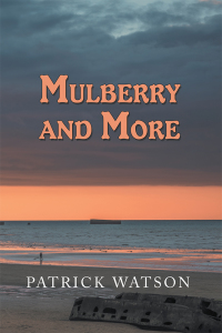 Imagen de portada: Mulberry and More 9781796052268