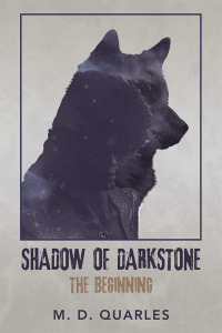 Titelbild: Shadow of Darkstone 9781796054477