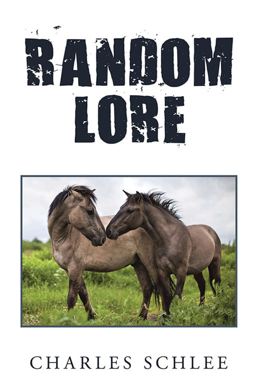 Random Lore (eBook)