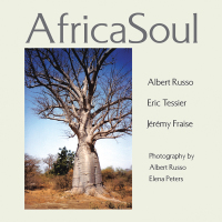 Cover image: Africasoul 9781413470109