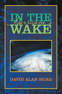 表紙画像: In the Hurricane's Wake 9781796069914