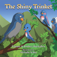 Cover image: The Shiny Trinket 9781796070293