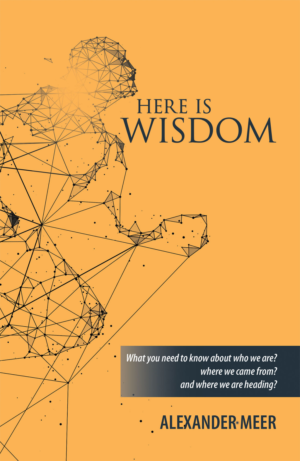 Here Is Wisdom What You Need to Know About Who We Are? Where We Came From? and Where We Are Heading?