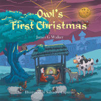 表紙画像: Owl's First Christmas 9781796071061