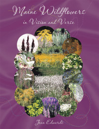 Imagen de portada: Maine Wildflowers in Vision and Verse 9781453575123