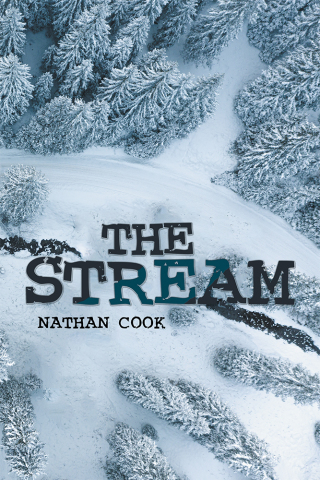 Imagen de portada: The Stream 9781796079326