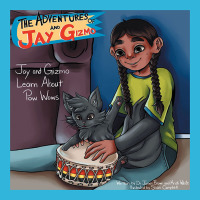 Cover image: The Adventures of Jay and Gizmo 9781796090888