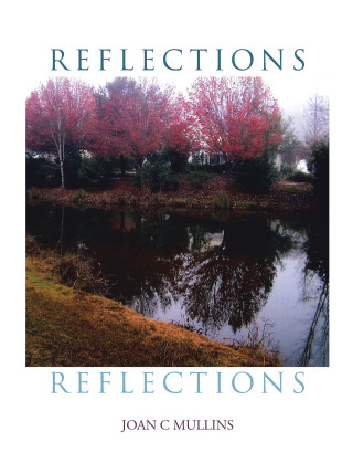 Omslagafbeelding: Reflections 9781796092004