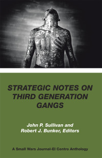 表紙画像: Strategic Notes on  Third Generation Gangs 9781796095616