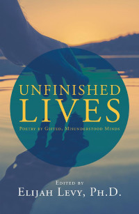 Omslagafbeelding: Unfinished Lives 9781796096200