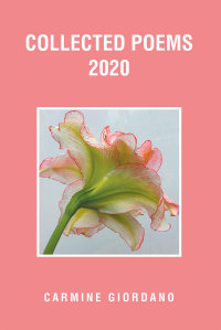 Imagen de portada: Collected Poems 2020 9781796099003