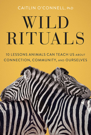 Imagen de portada: Wild Rituals 9781452184852