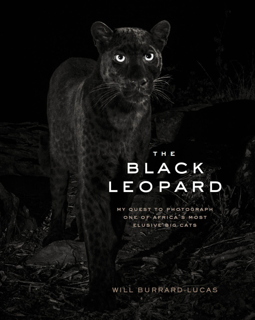 The Black Leopard eBook