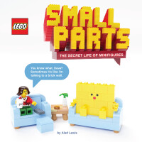 Titelbild: LEGO Small Parts 9781452182254