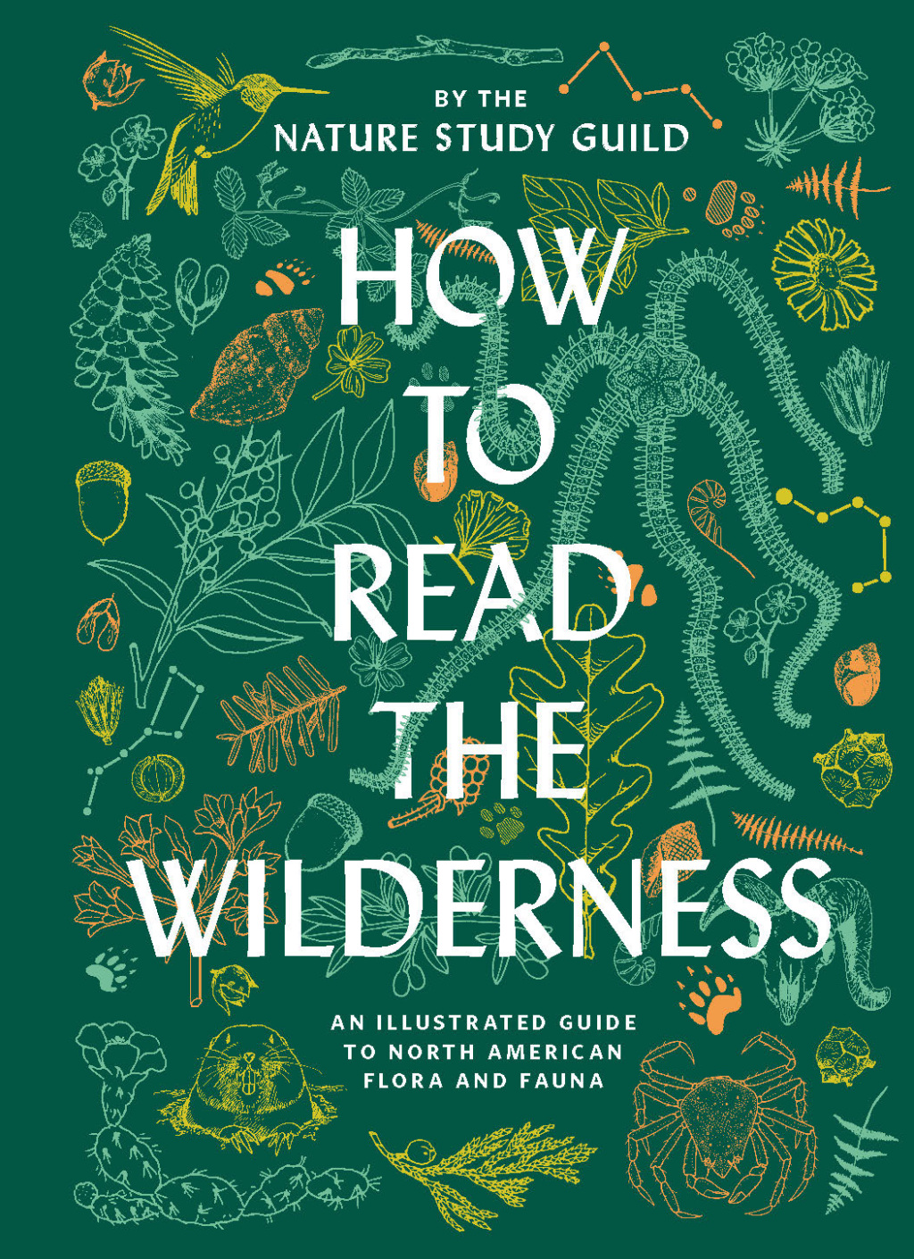 How to Read the Wilderness An Illustrated Guide to North American Flora and Fauna