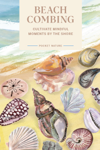 Immagine di copertina: Pocket Nature Series: Beachcombing 9781797217925